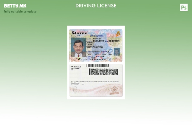 Модерен стил, шаблон за државна возачка дозвола на САД Мејн ( – сегашен).